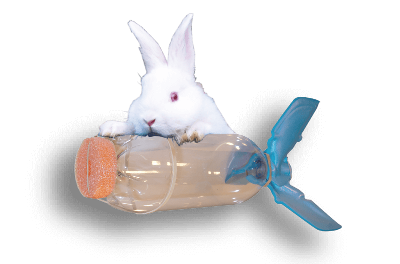 Water rocket tips: a very light bunny cuddling up to a very light AntiGravity SkyLab water rocket.