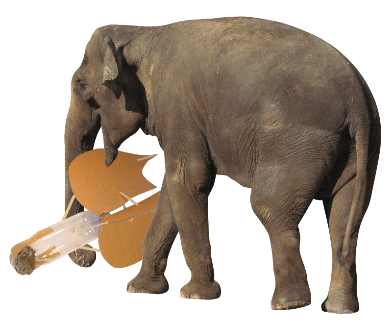 Water rocket tips: An elephant carrying a very heavy water rocket.