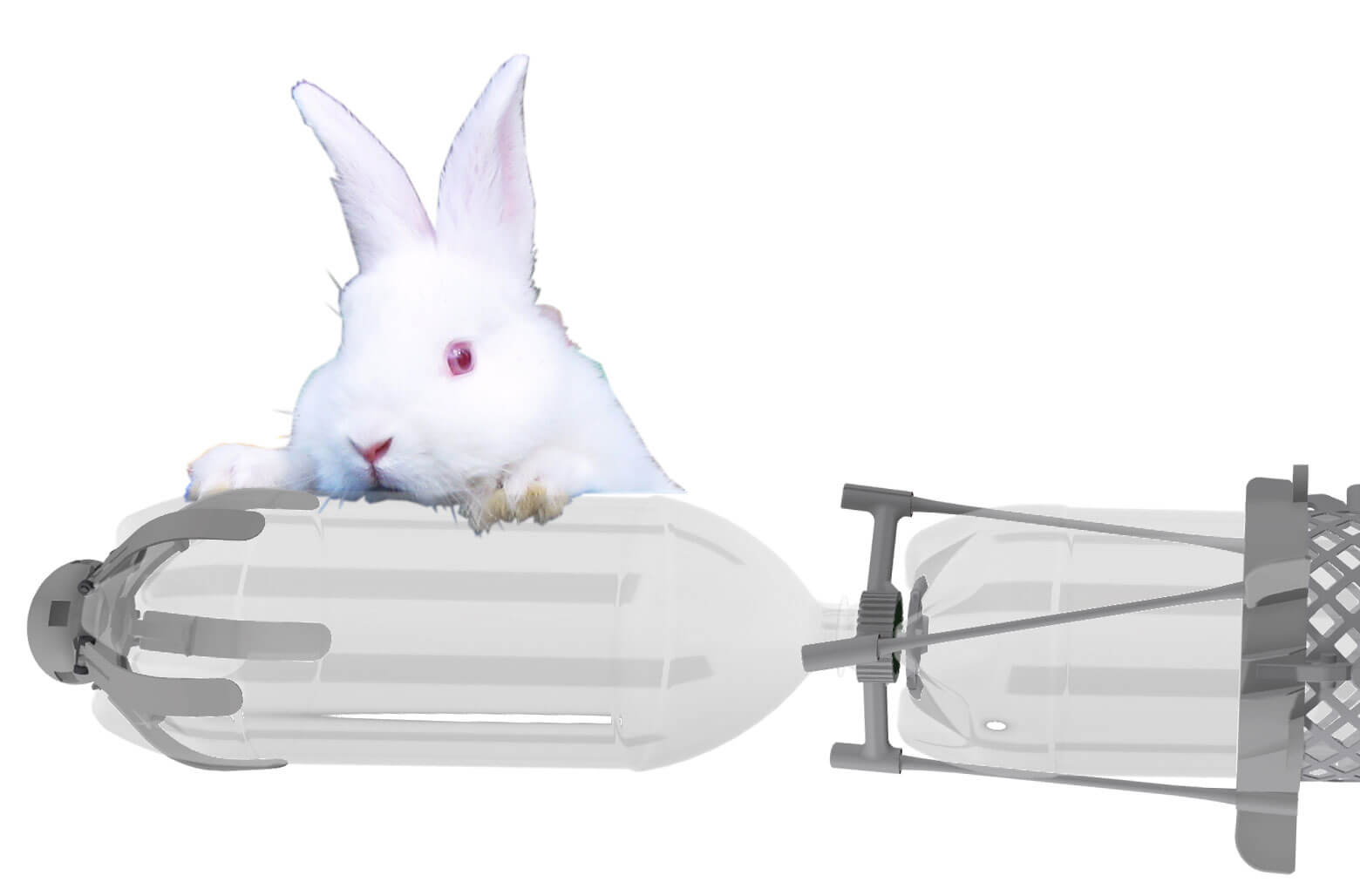 Water rocket tips: a very light bunny cuddling up to a very light AntiGravity SkyLab water rocket.